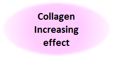 Collagen Increasing effect