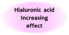 Hialuronic acid Increasing effect