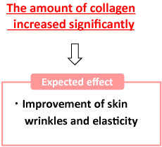 Collagen increasing effect result