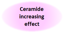 Ceramide increasing effect