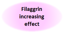 Filaggrin increasing effect